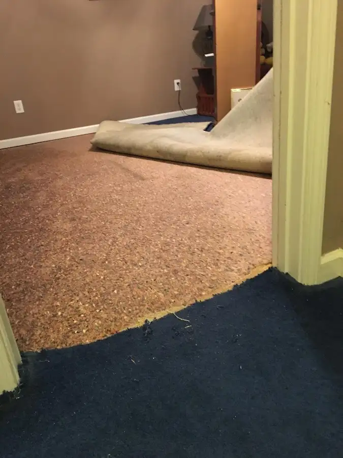 Carpet pad removal revealing water damage during Water Mitigation Services in Midlothian